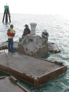 AUTEC Site 2 Offshore Dolphin mid Demo Send 225x300