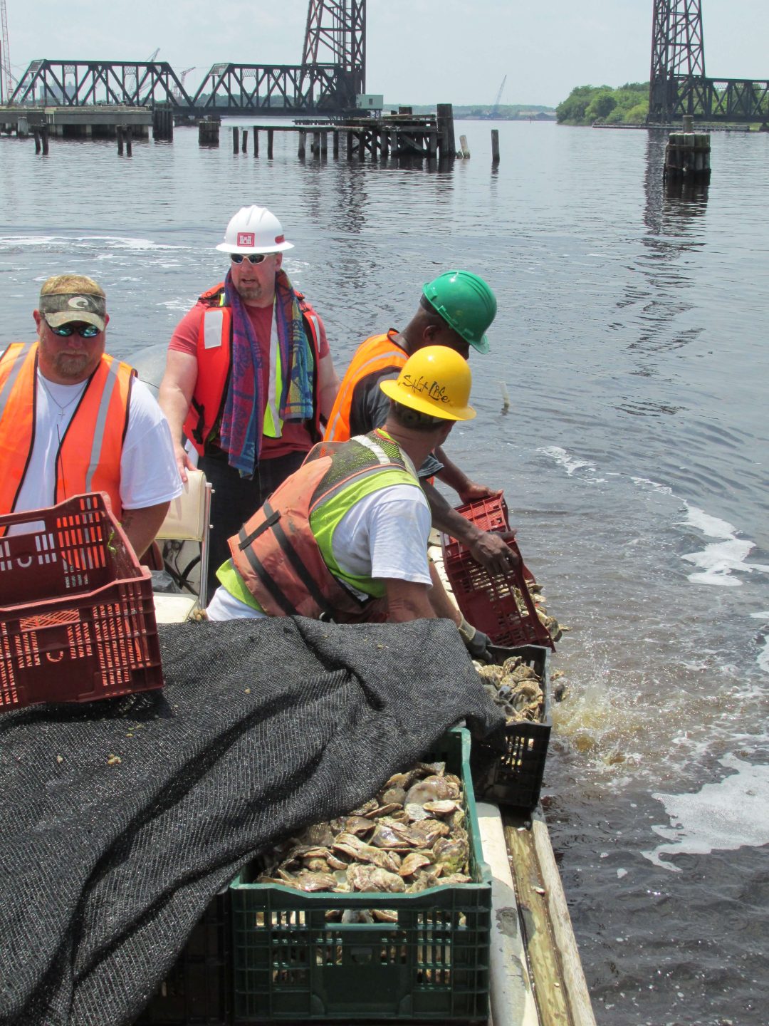 CRANEY ISLAND OYSTER MITIGATION