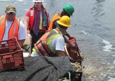 CRANEY ISLAND OYSTER MITIGATION