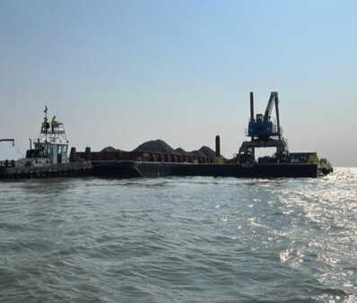 YORK RIVER OYSTER REEF